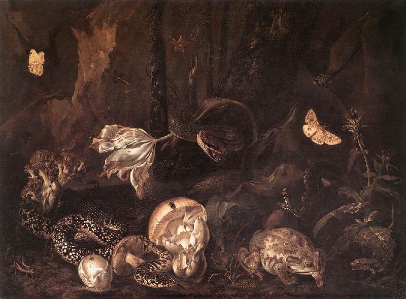 SCHRIECK, Otto Marseus van Still-Life with Insects and Amphibians ar Sweden oil painting art